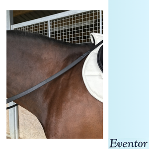 EVENTOR RUBBER GRIP REINS-wholesale-brands-Top Notch Wholesale