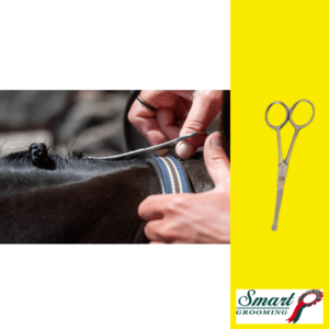 SMART GROOMING 4.5" SAFETY SCISSORS-wholesale-brands-Top Notch Wholesale