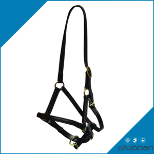 STUBBEN 1098 PONY NT LEATHER HALTER-wholesale-brands-Top Notch Wholesale